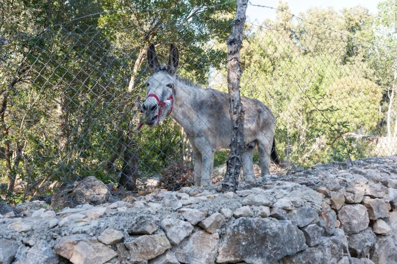 Prázdninový dům Vila Casa De Piedra Campanet Španělsko